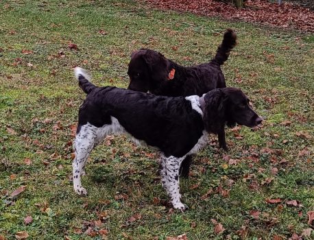 neuer Tag, neues Spiel