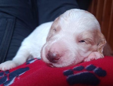 Die Augen öffnen sich