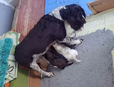 wir sind schon soo gross