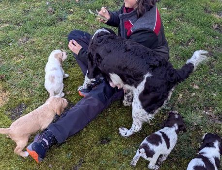 Besuch ist Willkommen