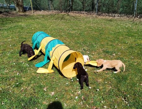 Kampf mit dem Lindwurm