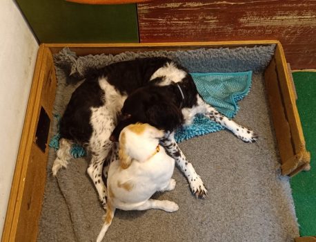 die letzte wird abgeholt